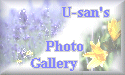 U-san's Photo Gallery Top